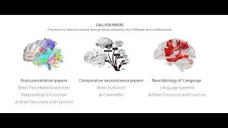 Neuroccino - Special Issues in journals