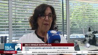 Zika e Dengue em Portugal