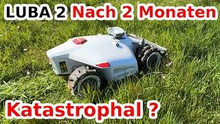 ️ERFAHRUNGSBERICHT Mähroboter LUBA 2 (was niemand Ihnen sagt...)