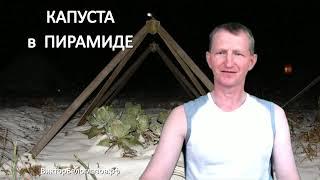 Капуста в Пирамиде. Виктор Белоглазов | Pyramids