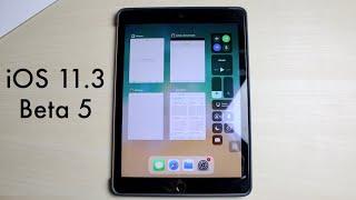 iOS 11.3 BETA 5 On iPAD AIR 2! (Review)