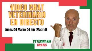 CONSULTORIO VETERINARIO ONLINE