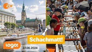 Das größte Schachturnier der Welt | logo! Nachrichten vom 27.06.2024