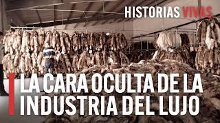 ¿Qué se esconde detrás de la ropa de lujo? La cara oculta de las mejores marcas | HD Documental