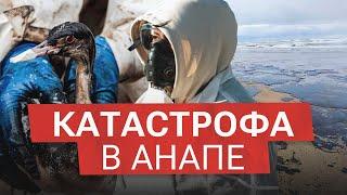 Как волонтеры спасают Чёрное море?