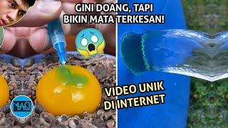 Coba Nonton Ini Biar Pikiran Rileks! Inilah Video Unik yang Mungkin Bisa Mengesankan Mata!