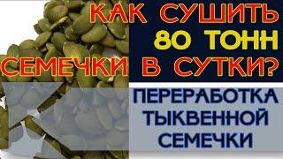 Сушим 80 тонн тыквенной семечки в сутки // Сушильные установки для семечки Каховского производства