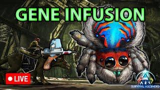 ABERRATION - JAK TO FUNGUJE   ARK SURVIVAL ASCENDED