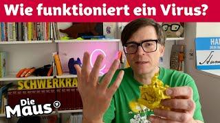 Was macht ein Virus im Körper? | Corona-Fragen | DieMaus | WDR