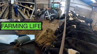 "A DAY IN MY LIFE"  REAL LIFE DAIRY FARMING -- IT'S A LIFESTYLE NOT A JOB --