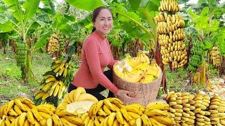 WOMAN Harvesting Banana & Goes to the Market - Harvesting And Selling | Emma Daily Life