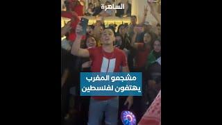 أهازيج من جمهور المغرب دعماً لفلسطين خلال منافسات كأس العالم قطر 2022