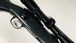 Ruger 77/22 Hornet discussion 2.0