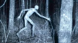 Disturbing Creatures Caught On Trail Cams In 2024