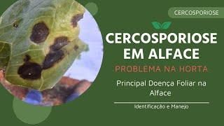 Cercosporiose na Alface. Como Identificar, Controle e Preventivos