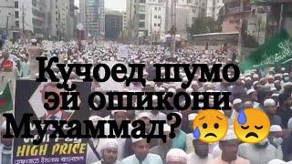 Кучоед шумо эй ошикони Мухаммад? 