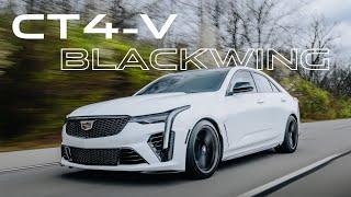 CT4-V BLACKWING gets the FULL PACKAGE Treatment!  #ppf #windowtint #cadillac #car  #sportscar