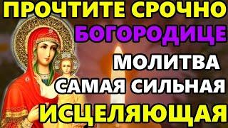 ВКЛЮЧИ СИЛЬНАЯ МОЛИТВА Иконе Божией Матери Одигитрия Смоленская Праздник Смоленской Иконы
