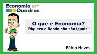 O que é Economia? Riqueza e Renda não são iguais!