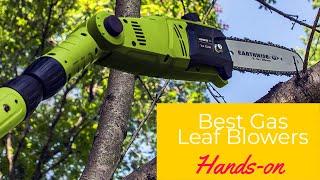 Best Corded Pole Saws in 2023