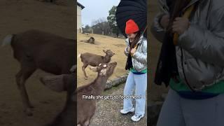 She Ate Animals Food  #shorts #couple #relationship