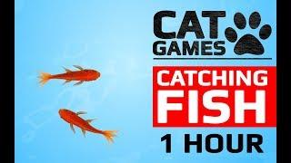 CAT GAMES -  CATCHING FISH 1 HOUR VERSION (VIDEOS FOR CATS TO WATCH)