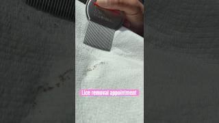 Lice removal appointment l lice services