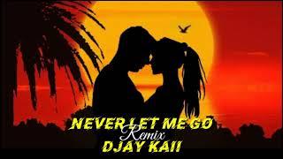 Never Let Me Go [REMIX] - Djay Kaii X Shaggy ft Tessanne Chin