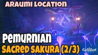 Pemurnian Sacred Sakura Part 2 : Lokasi Araumia | GENSHIN IMPACT