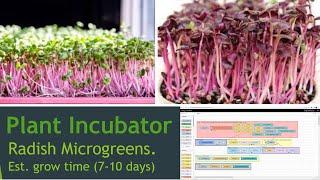 Microgreen incubator  -  Electro-Mechanical Program  -  Thaddeus Stevens College of Technology