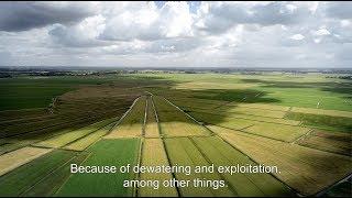 Commonland & Wij.land present: Partnering for sustainable landscapes (teaser), ENG subtitles