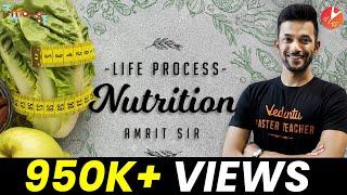 Nutrition Class 10 | Life Processes Class 10 Science Biology | Mode of Nutrition |NCERT Science Ch 6