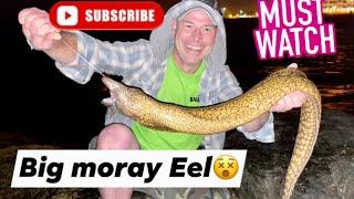 BIG MORAY EEL-FUERTEVENTURA 2021