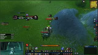 Ele Shaman at lvl 40 Classic Era WORLD PVP