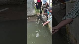 pengalaman pemancing ikan,,,ini tarikan ikan apa nyangkut?