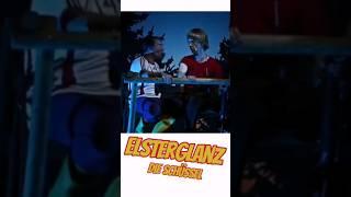 Elsterglanz  #shorts #funny #comedy