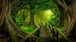 Enchanting Forest Music For Relaxation ༄ Celtic Fantasy Music Instrumental  The Unfading Forest