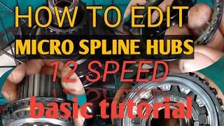 HOW TO EDIT AND MAINTAINANCE MICRO SPLINE HUBS, 12-SPEED BASIC TUTOTIAL  #MECHANIC JAY