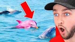 World’s *RAREST* Animals!