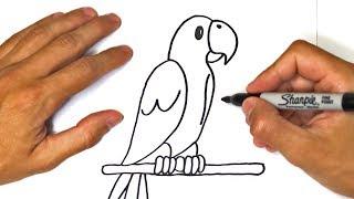 How to draw a Parrot for kids | Parrot Easy Draw Tutorial