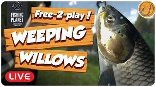 Free-2-play at Weeping Willows! | Fishing Planet [LIVE]