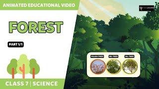 Forest - Our Lifeline | Part 1/1 | Class 7 Science Chapter 17 |  TicTacLearn English