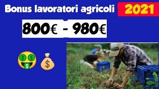 BONUS LAVORATORI 800 euro AGRICOLI: I REQUISITI | DL SOSTEGNI bis | 2021