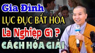 Gia Đình Hay Cãi Vã, Lục Đục Bất Hòa Là Nghiệp Gì & Cách Hóa Giải | SC. Thích Nữ Như Lan