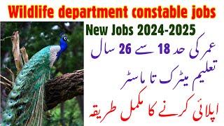 Wildlife Department new jobs in Pakistan 2024 | Government jobs 2024 | Wildlife jobs apply online