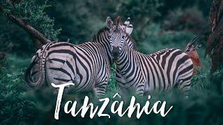 Beautiful Tanzania - Safari - LEVA-ME