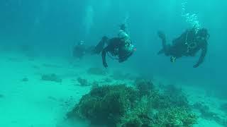 Hurgada diving 2019 03