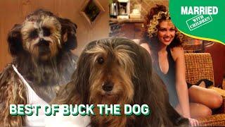 Best Of Buck The Dog | Married With Children