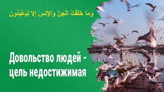 Довольство людей - цель недостижимая | Шейх Абу Яхья