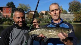 Trabucco TV - Pesca a bolognese sul fiume Oglio